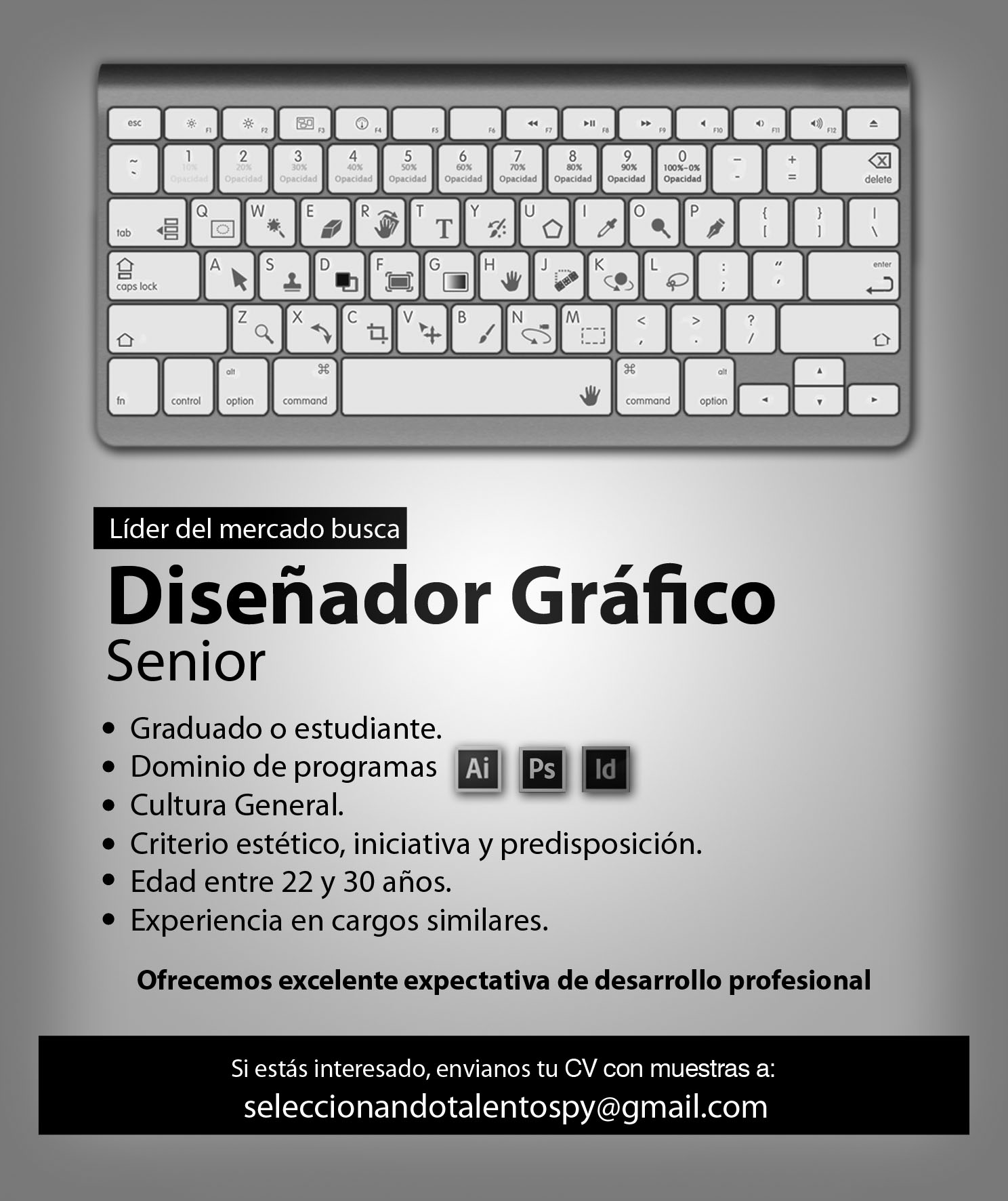 Se busca diseñador Junior en Paraguay