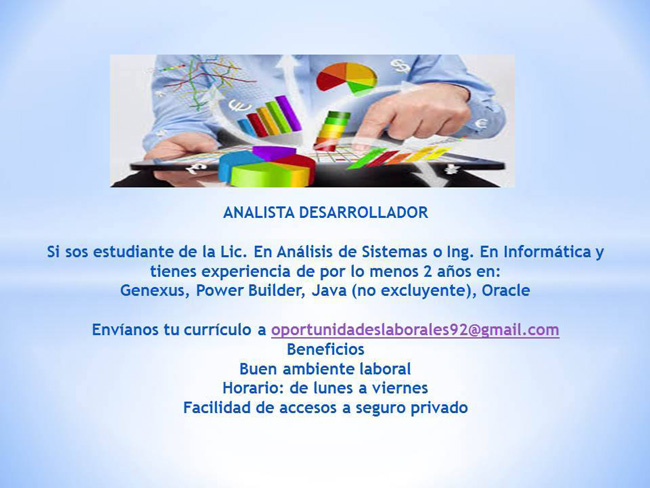 Analista desarrollador Analista desarrollador