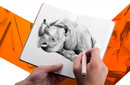 Taller Inicial de Dibujo