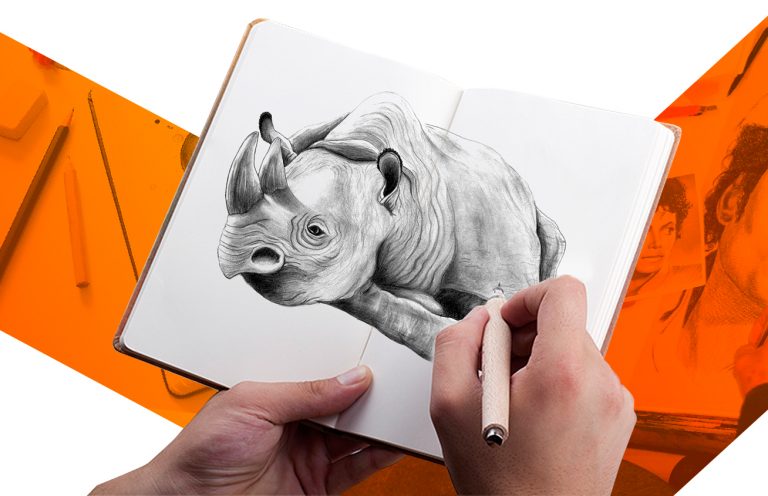 Taller Inicial de Dibujo