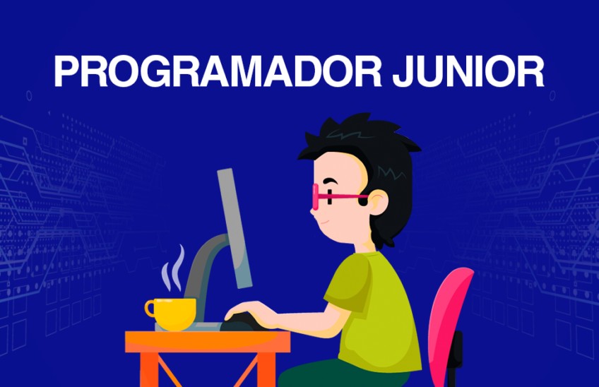 Programador Junior